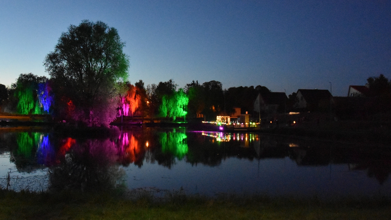 Koncert na molo. Adam Szabat